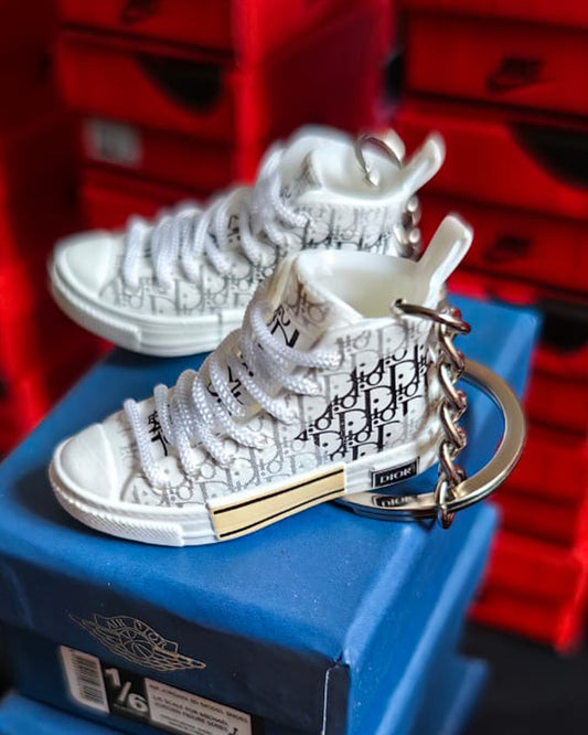 MINI DIOR B23 HIGH TOP