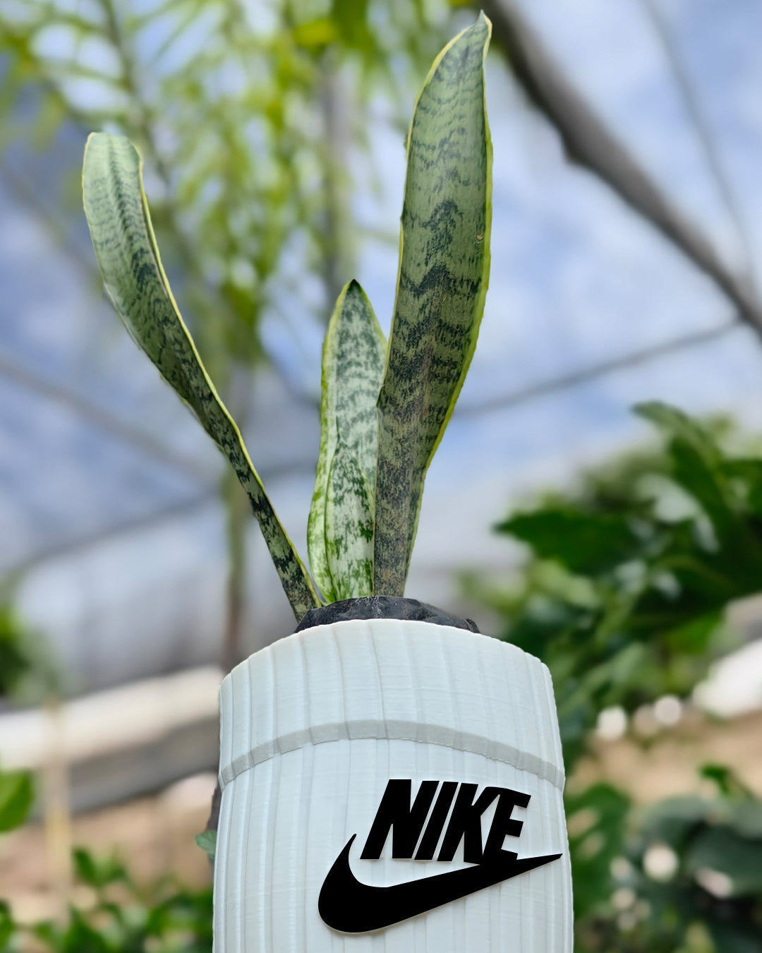 Plant Sock Nike